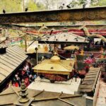 Escorted Full Day Pharping, Dakshinkali and Kirtipur Day Trip with Newari Lunch - Who Should Consider This Tour?