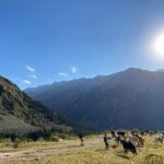 Essential Day Trip to Ala Archa National Park - The Gorge and Beyond: What to Expect