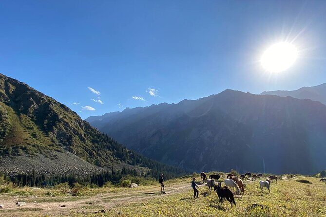 Essential Day Trip to Ala Archa National Park - The Gorge and Beyond: What to Expect