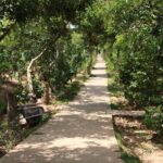Essential Mekong Delta: Highlights Tour from Ho Chi Minh City - Practical Details and Considerations