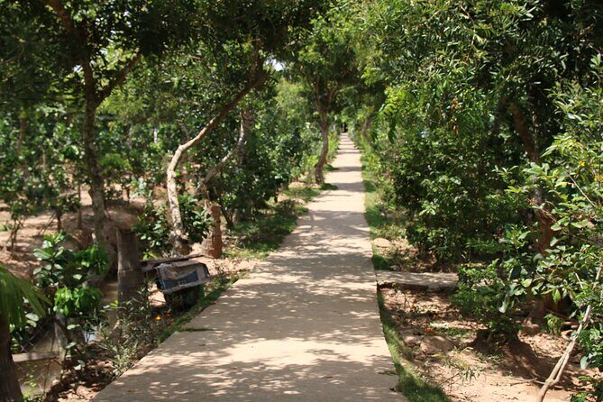 Essential Mekong Delta: Highlights Tour from Ho Chi Minh City - Practical Details and Considerations