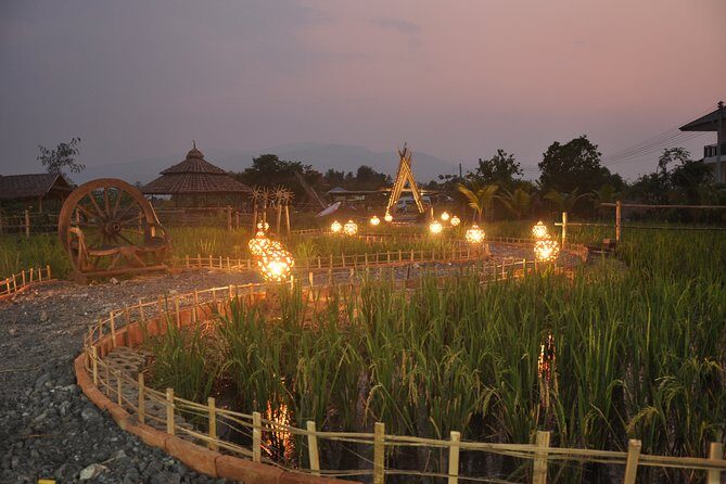 Evening Cooking Class in Organic Farm with Local Market Tour - The Guided Experience