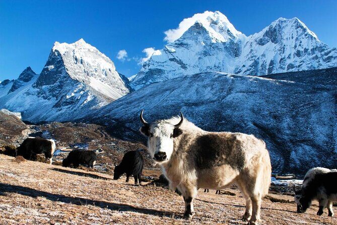 Everest Base Camp Helicopter Tour landing at Everest View Hotel. - FAQ