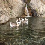 Everest Gokyo Lake Trek - Why This Trek Offers Excellent Value