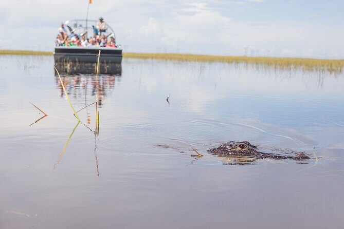 Everglades Admission Ticket with Airboat Ride and Wildlife Show - Final Thoughts: Is It Worth It?