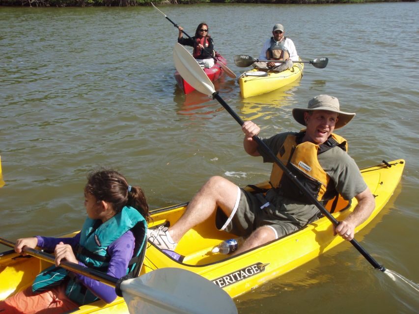 Everglades National Park 3-Hour Kayak Eco Tour - Why This Tour is a Great Choice