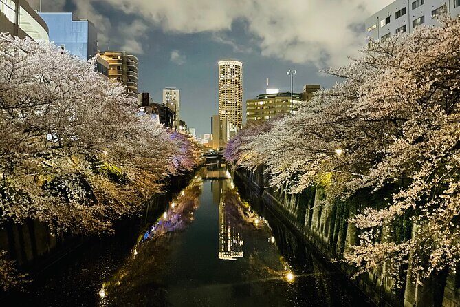 Exciting Evening of Eats in Tokyo - What Makes This Tour Special