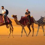 Exclusive 1-day Jaisalmer Tour with High End SUV. - Is This Tour Worth It?