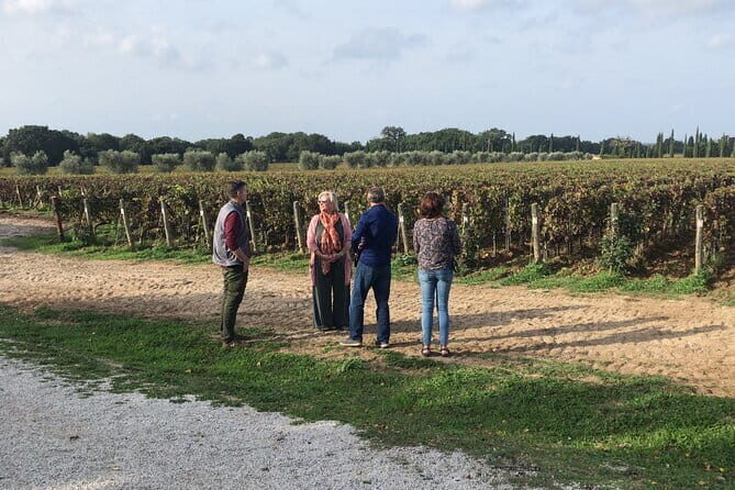 Exclusive Assisi & Sagrantino di Montefalco Wines from Florence - A Deep Dive into the Experience