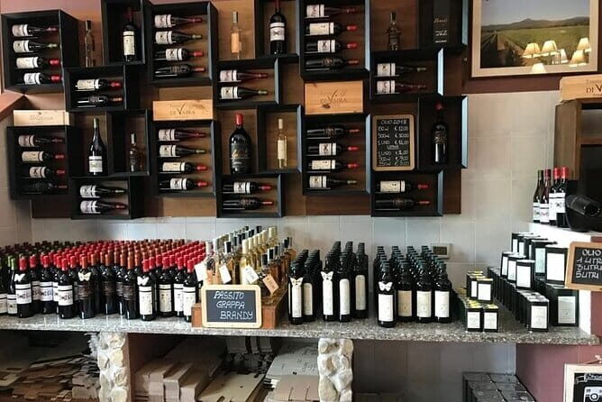 Exclusive Bolgheri from Florence: The Land of the Super Tuscan - Highlights That Make This Tour Stand Out