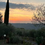 Exclusive Chianti Classico Day Trip from Florence - How the Experience Adds Value