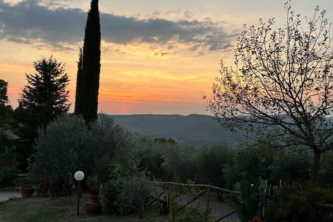 Exclusive Chianti Classico Day Trip from Florence - How the Experience Adds Value