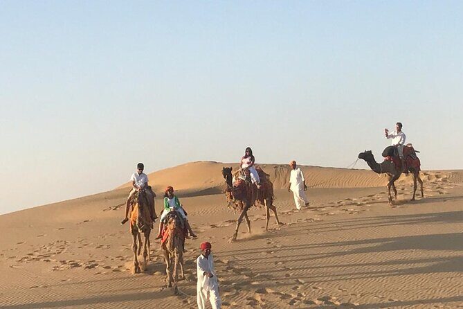 Exclusive Dinner & Camel Safari in Thar Desert (Private Tour) - What Makes This Tour Stand Out?