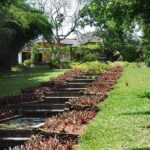 Exclusive : Geoffrey Bawa Architecture Tour - Why Value Matters: Analyzing the Cost and Inclusions