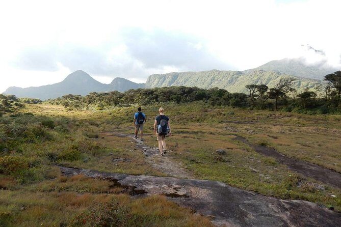 Exclusive knuckles Camping Tour from kandy - Authenticity and Guest Experiences
