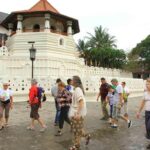 Exclusive : Last Kingdom Private Day Tour in Kandy - Real Experiences & Honest Feedback
