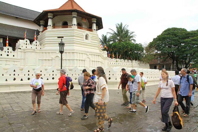 Exclusive : Last Kingdom Private Day Tour in Kandy - Real Experiences & Honest Feedback