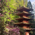 Exclusive Luxury Day Tours Serene Nara - The Sum Up