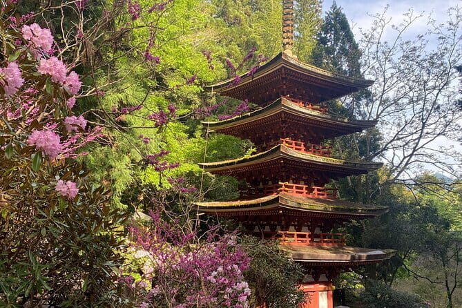 Exclusive Luxury Day Tours Serene Nara - The Sum Up