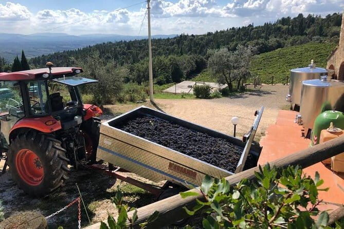 Exclusive Private Tuscany Wine Tour & Food Pairing Session - Practical Info: What to Expect and Consider