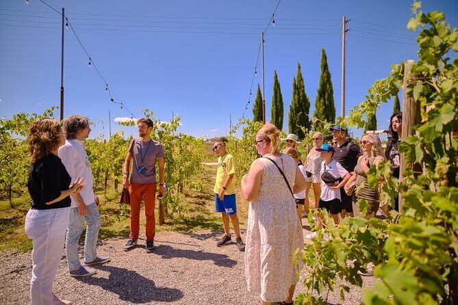 Exclusive Siena and San Gimignano Tour & Chianti Wine Experience - Who Will Love This Tour?