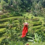 Exclusive Ubud Day Tour - Final Thoughts: Who Should Opt for This Tour?