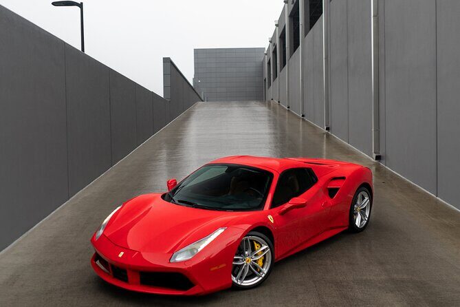 Exotic Car rental in Orlando - Real Experiences from Past Customers