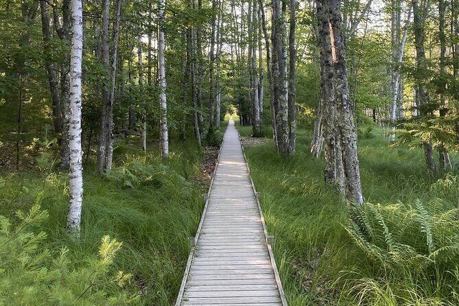 Experience Acadia: Private 3-hr tour with local guide. - What Sets This Tour Apart?