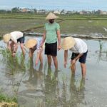 Experience Buffalo Ride and Farmer in Hoi An - Final Thoughts: Who Is This Tour Best For?