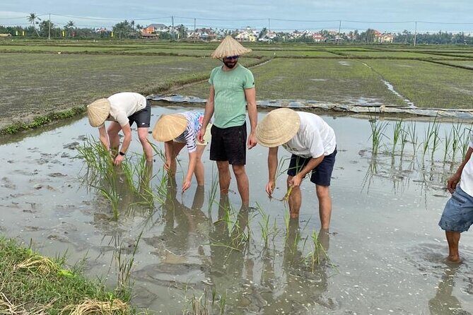 Experience Buffalo Ride and Farmer in Hoi An - Final Thoughts: Who Is This Tour Best For?