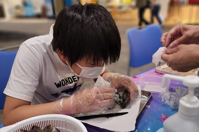 Experience Extracting Pearls From Akoya Oystersosaka - Exploring the Pearl Extraction Tour in Osaka