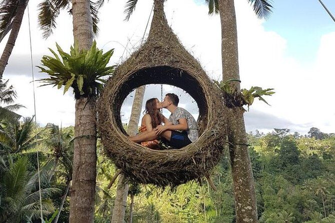 Experience Full Day to Bali Swing Temple and Monkey Forest - The Verdict: Is It Worth It?