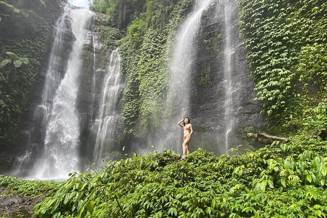 Experience Private Bali Northern Trip at North Waterfall - The Sum Up