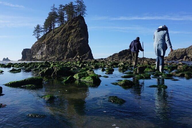 Experience the Spectacular Beauty of the Olympic Peninsula - First Stop: Sequim and Lavender Fields