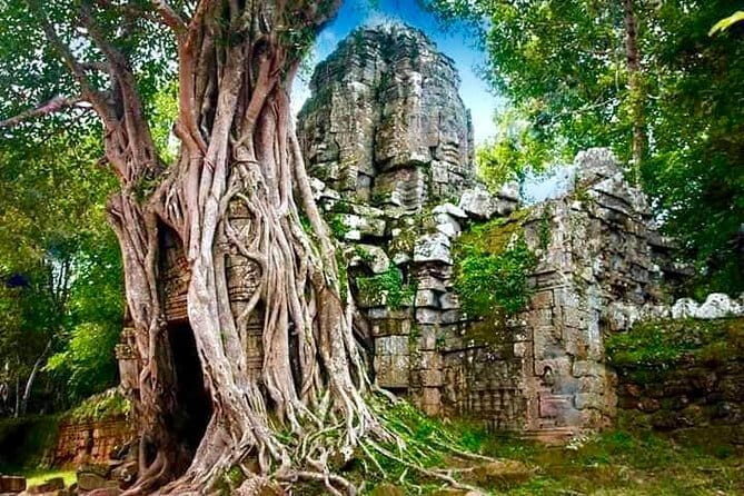 Explore Angkor Wat Sunrise Small Tour Private VIP Car - Comfort and Convenience: What Makes This Tour Stand Out