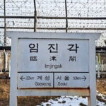 Explore DMZ from Seoul with Gondola and Suspension Bridge Option - Final thoughts: Who is this tour best suited for?