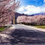 Explore Gilgit Baltistan Epic Jeep Safari and Cultural Adventure - The Scenic Transition: From Urban to Mountain Majesty