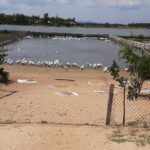 Explore Hoi An Village Island - Practical Details and What You’ll Get