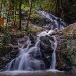 Explore Mae Kampong Village from Chiang Mai City - The Value of This Tour
