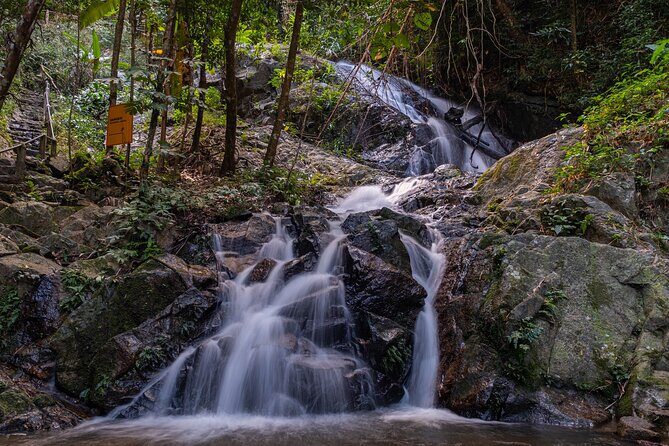 Explore Mae Kampong Village from Chiang Mai City - The Value of This Tour