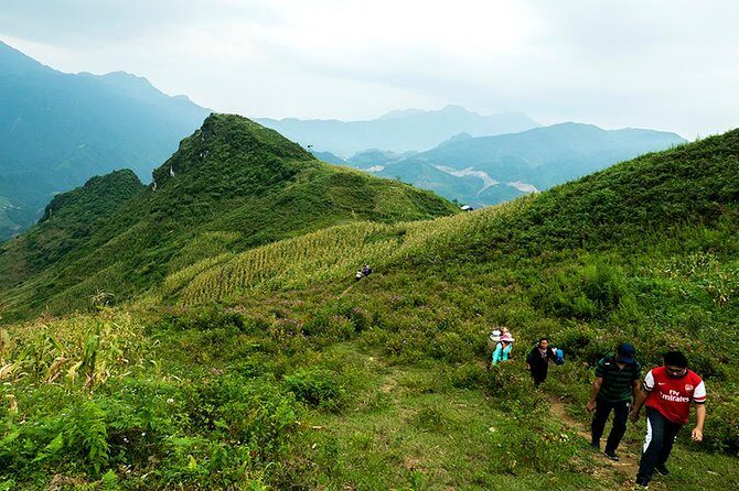 Explore Nature View And Homestay Experience - Who Will Love This Tour?