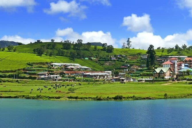 Explore Nuwara Eliya - Waterfall & Tea Factory Tour - Exploring the Itinerary in Detail