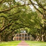 Explore Oak Alley Plantation Guided Tour with Transportation - The Balance of Value and Experience