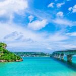 Explore Okinawa with Private Sedan Car Hire Driver - Final Thoughts: Who Should Book This Experience?