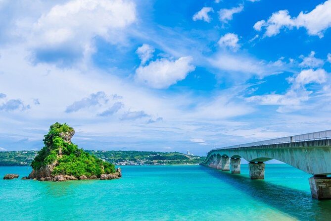 Explore Okinawa with Private Sedan Car Hire Driver - Final Thoughts: Who Should Book This Experience?