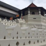Explore Sigiriya, Kandy,Nuwaraeliya,Galle From Colombo - Day 1: Wildlife and Ancient Wonders