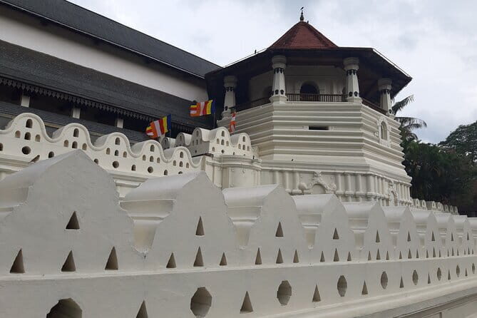 Explore Sigiriya, Kandy,Nuwaraeliya,Galle From Colombo - Day 1: Wildlife and Ancient Wonders