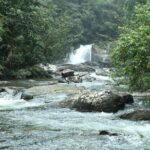 'Explore Sinharaja' rainforest - Discovery Tour (half day) - Wildlife Encounters