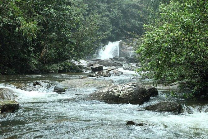 'Explore Sinharaja' rainforest - Discovery Tour (half day) - Wildlife Encounters