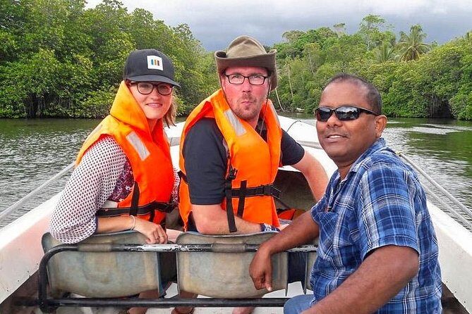 Explore the Beauty of South Coast in One Day - A Detailed Look at the South Coast Day Tour